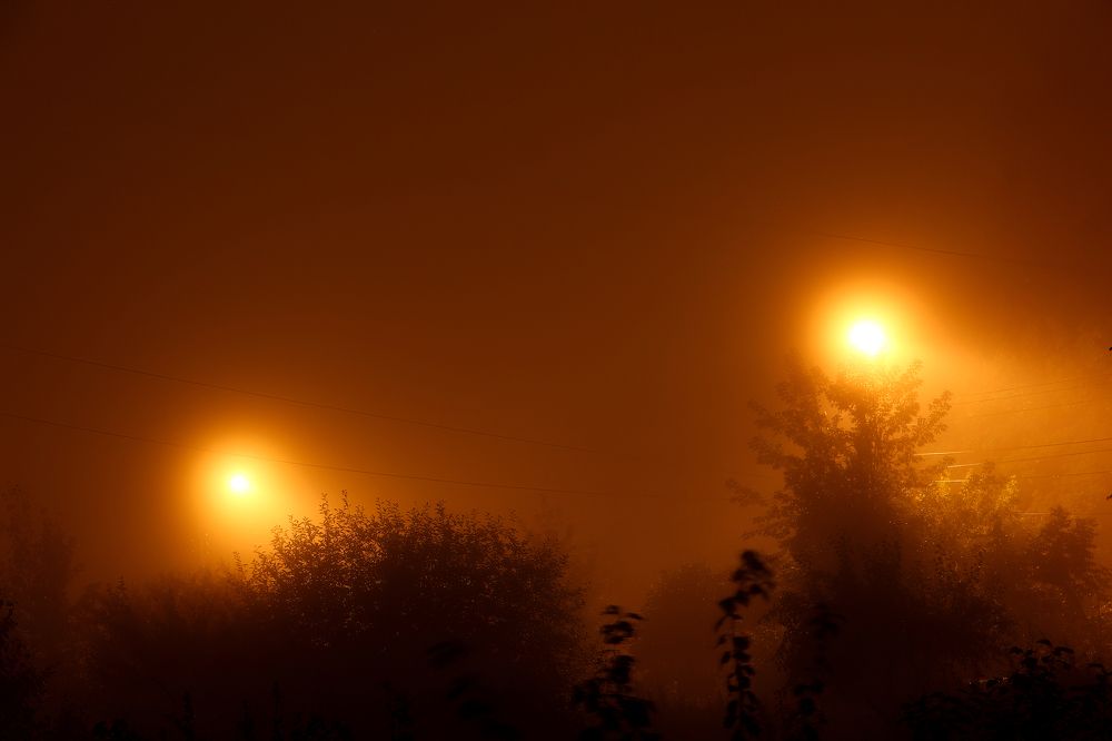 Photograph by Почечуй Андрей