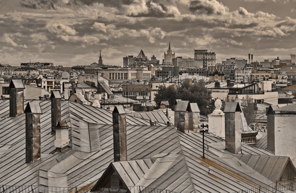 за лесом труб