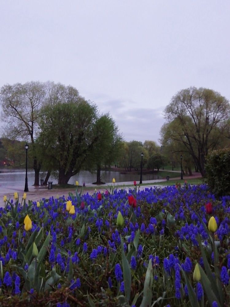 Царицыно. [30 апреля 2023 г.]