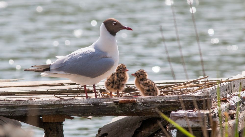 Photograph by Александр