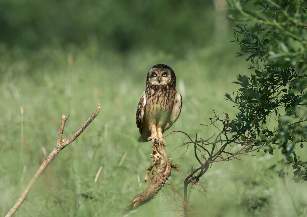 Photograph by Николай Игумнов