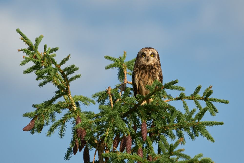 Photograph by Николай Игумнов