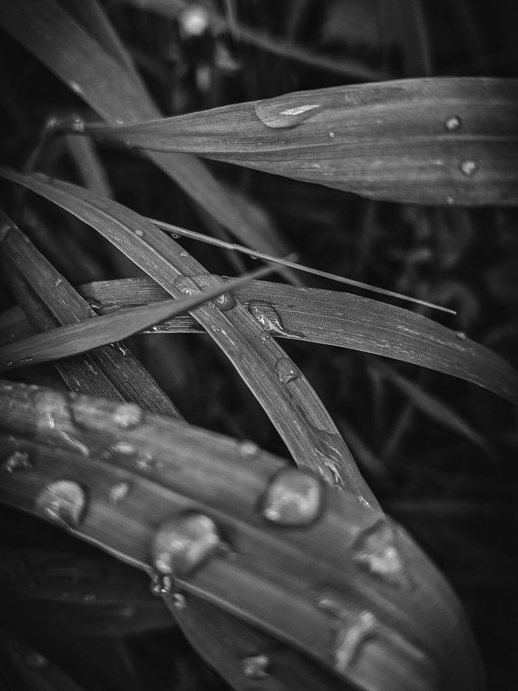 Photograph by Дарья Макаревич