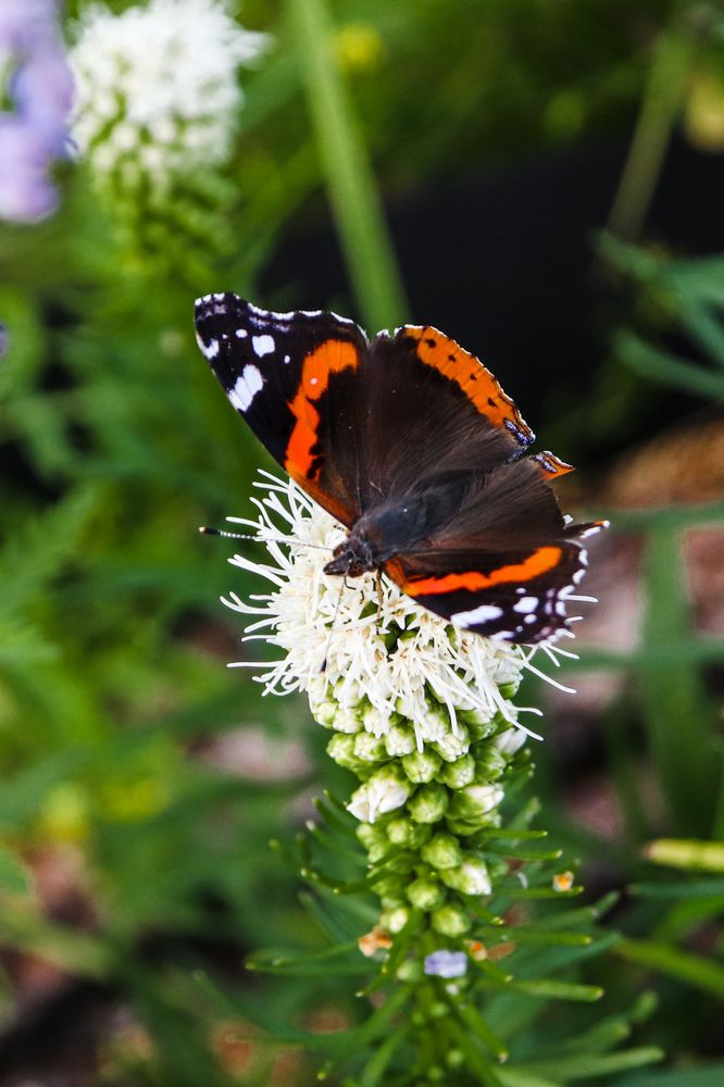 Photograph by Алексей Голубев