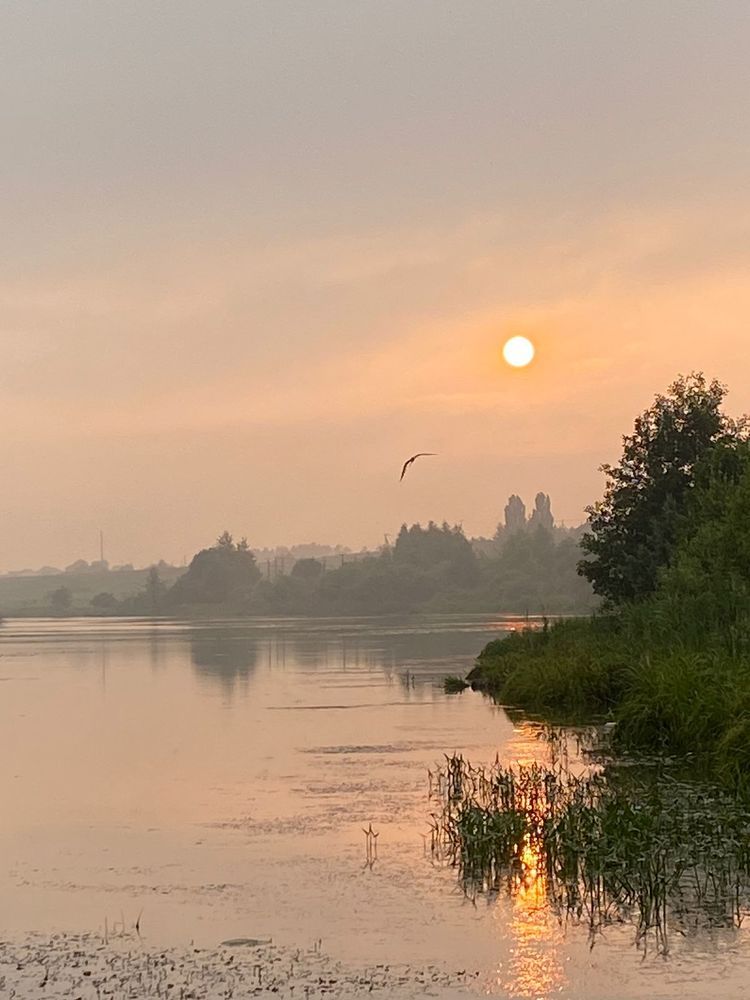 Photograph by Елена Черненкова