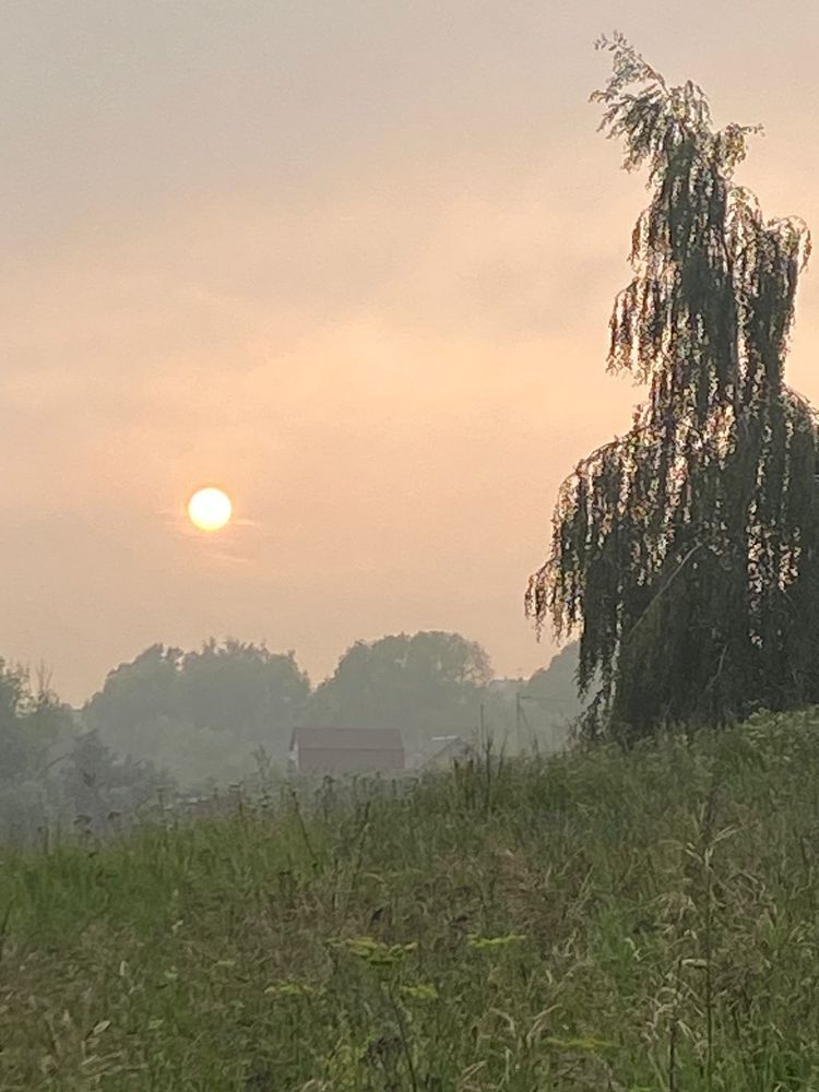 Photograph by Елена Черненкова