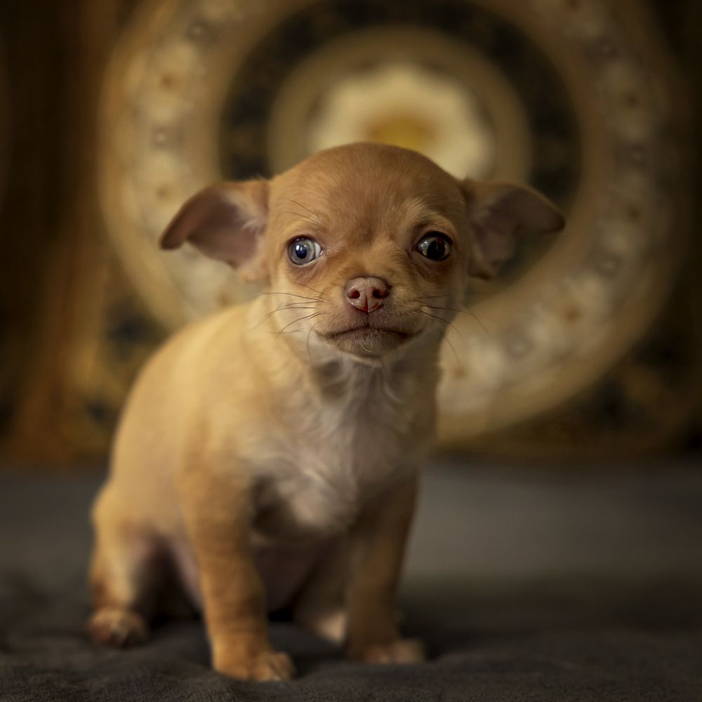 Фотография автора Igor Lukin