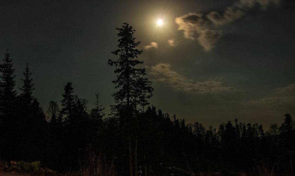 Photograph by Сергей Кравченко