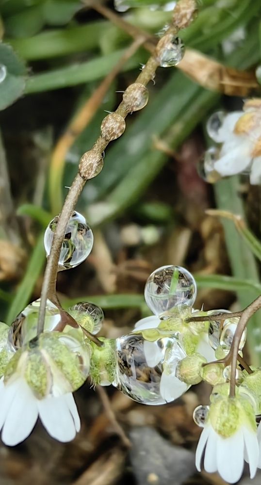 Photograph by Ирина