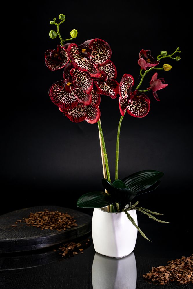 Photograph by дмитрий игнатов