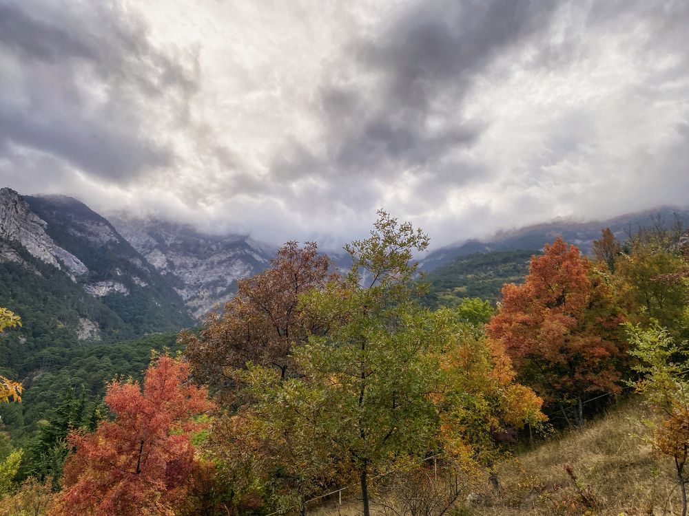 Фотография автора Наталия