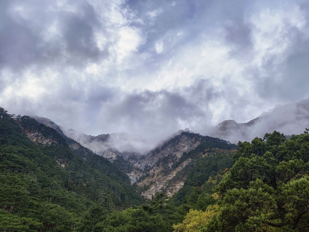 Фотография автора Наталия
