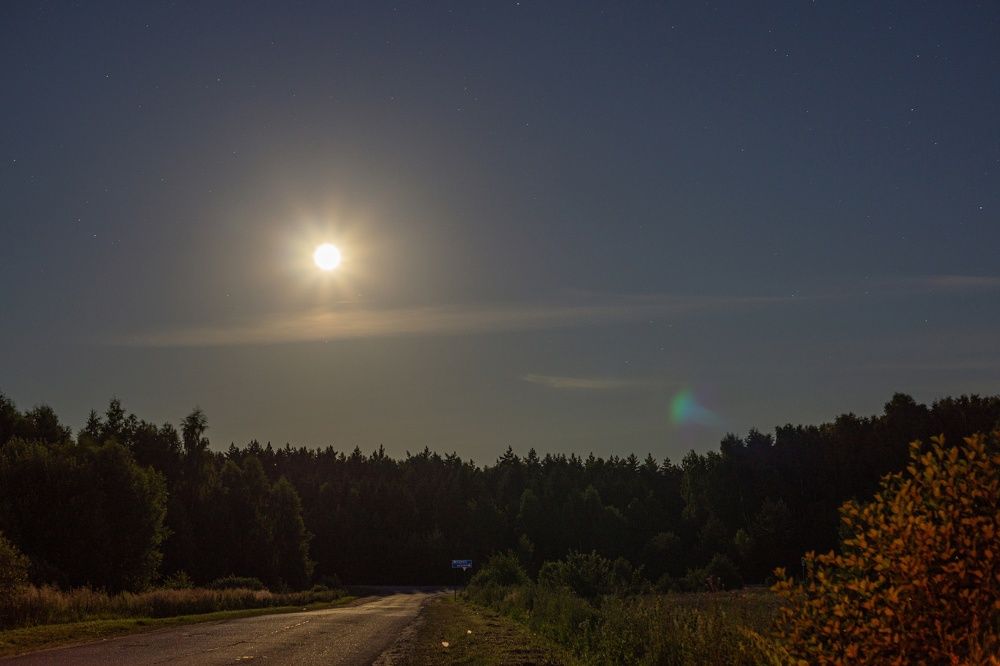 Photograph by Александр Ходакин