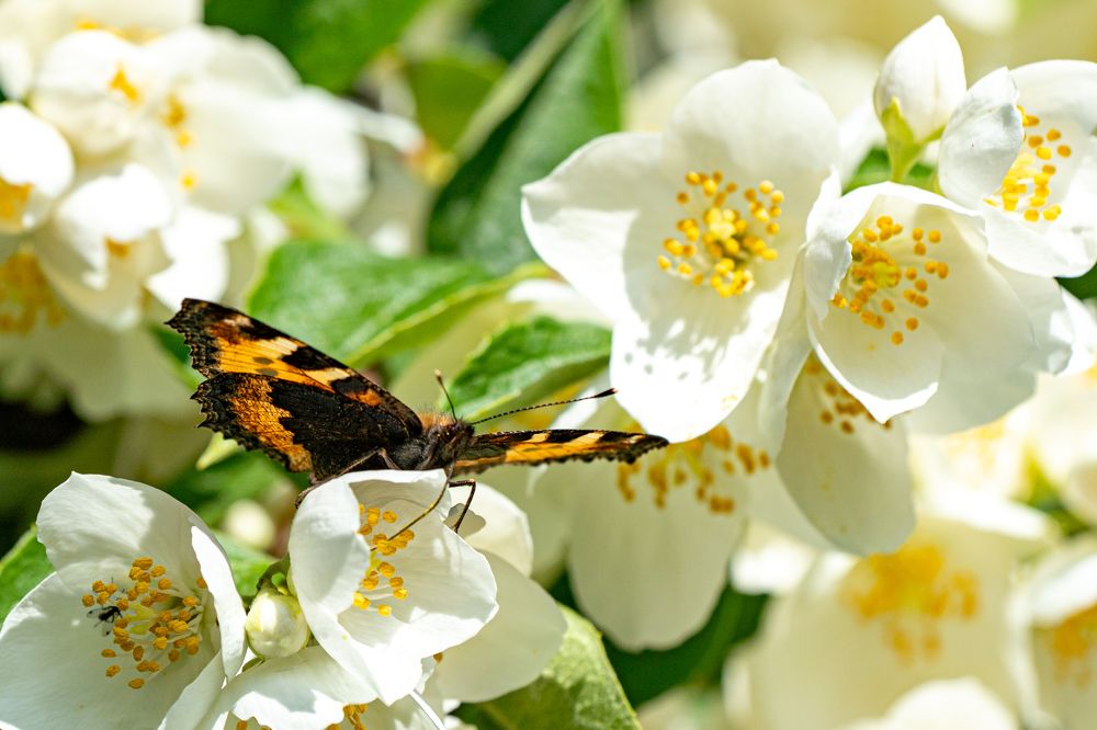 Photograph by Галина Аскольдовна Луковникова