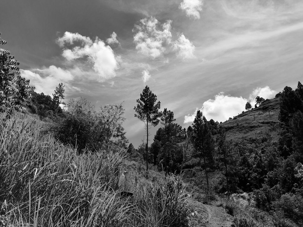 Photograph by M Adal