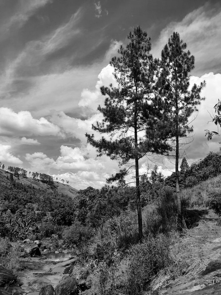 Ranah Minang Alam Tacinto