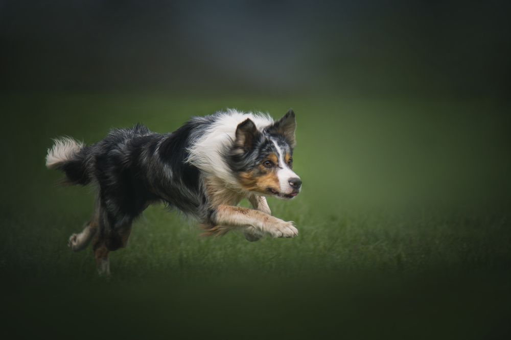 Photograph by Андрей Соколов