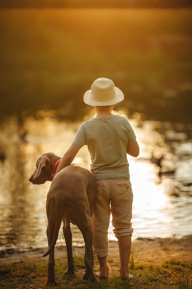 Photograph by Наталия Ватутина