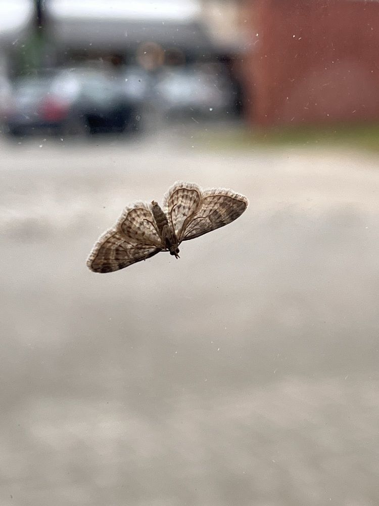 Photograph by Fatima Salimi