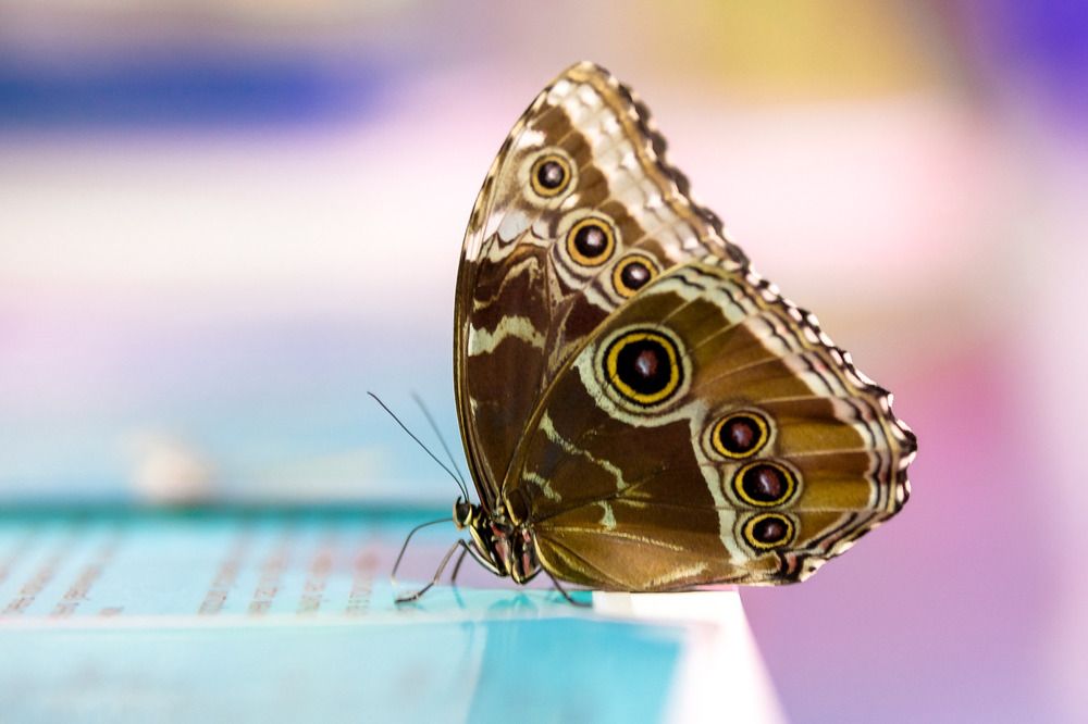 Photograph by Кермен Манджиева