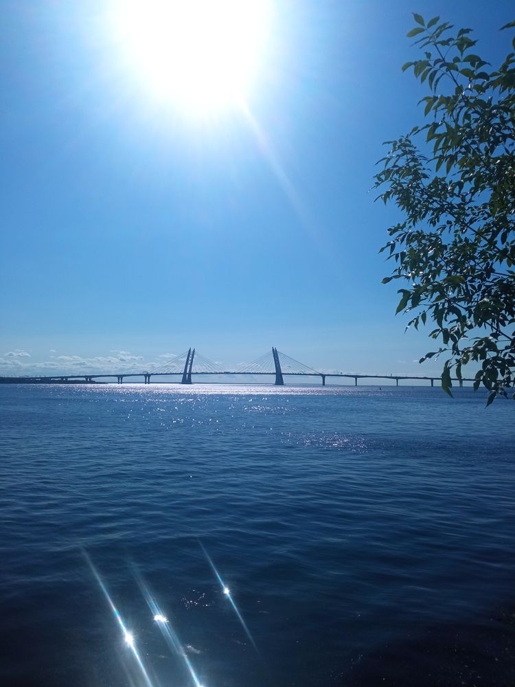 Photograph by Олеся