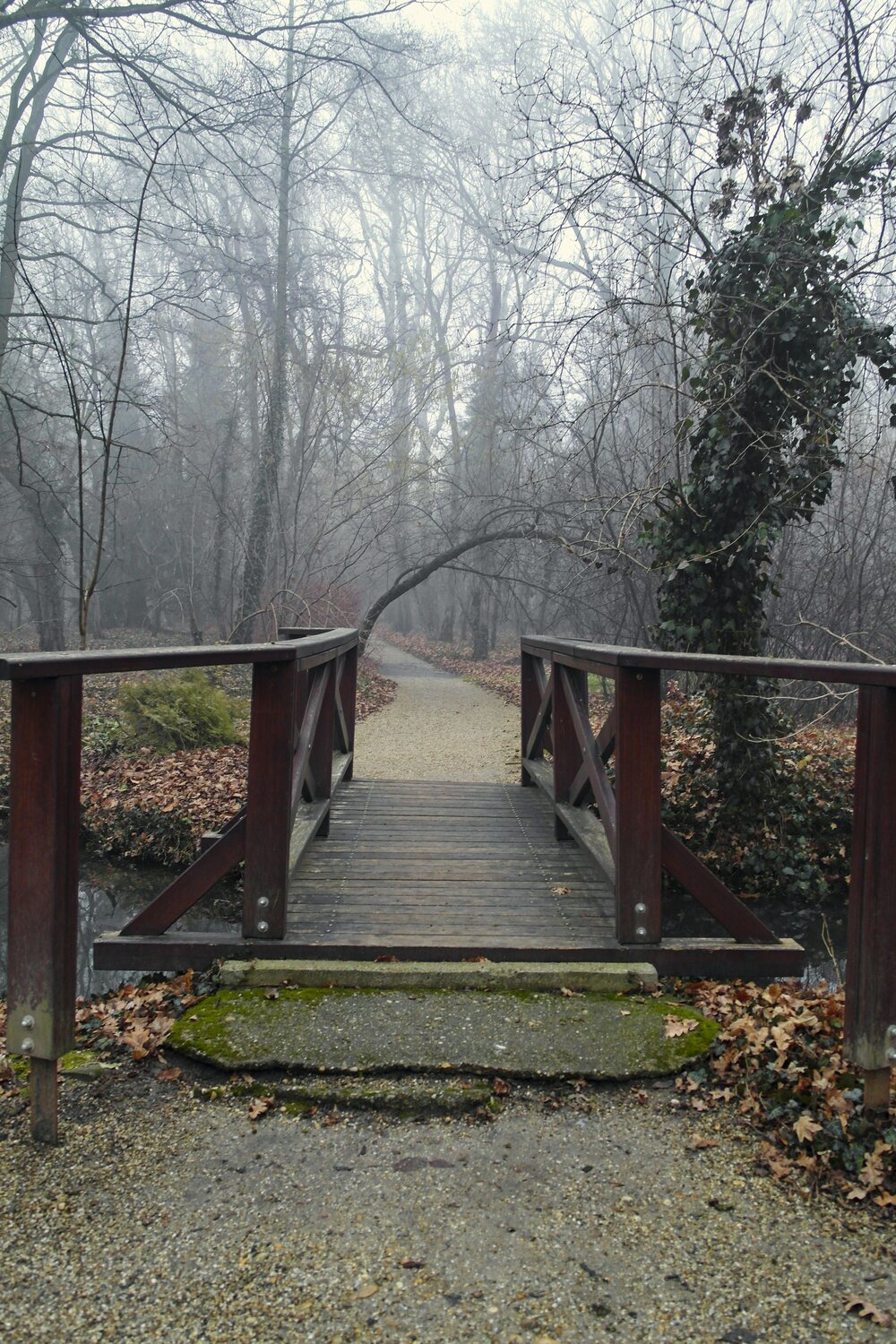 Photo #9299814