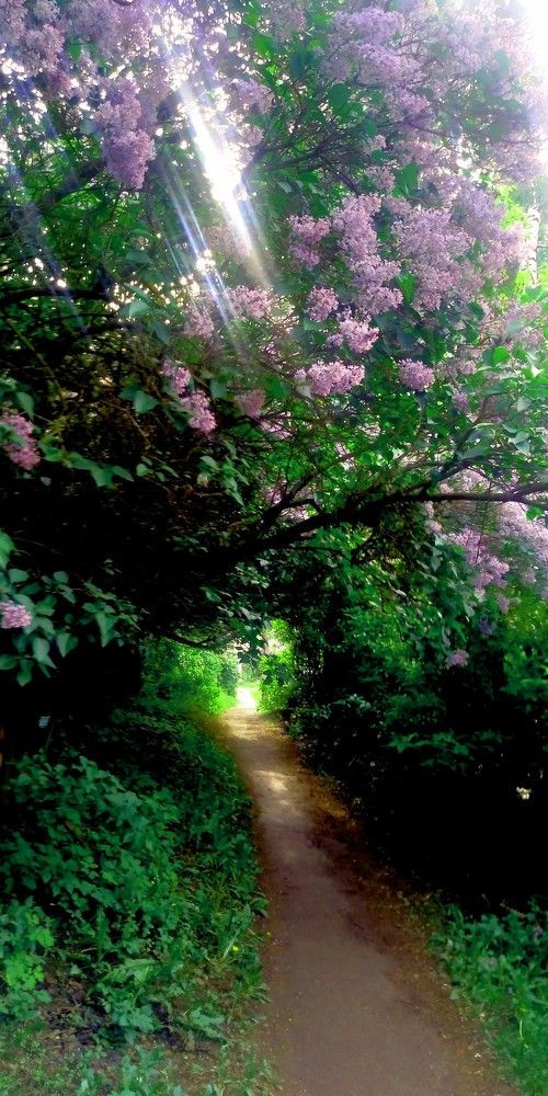 Photograph by Игорь Грашин