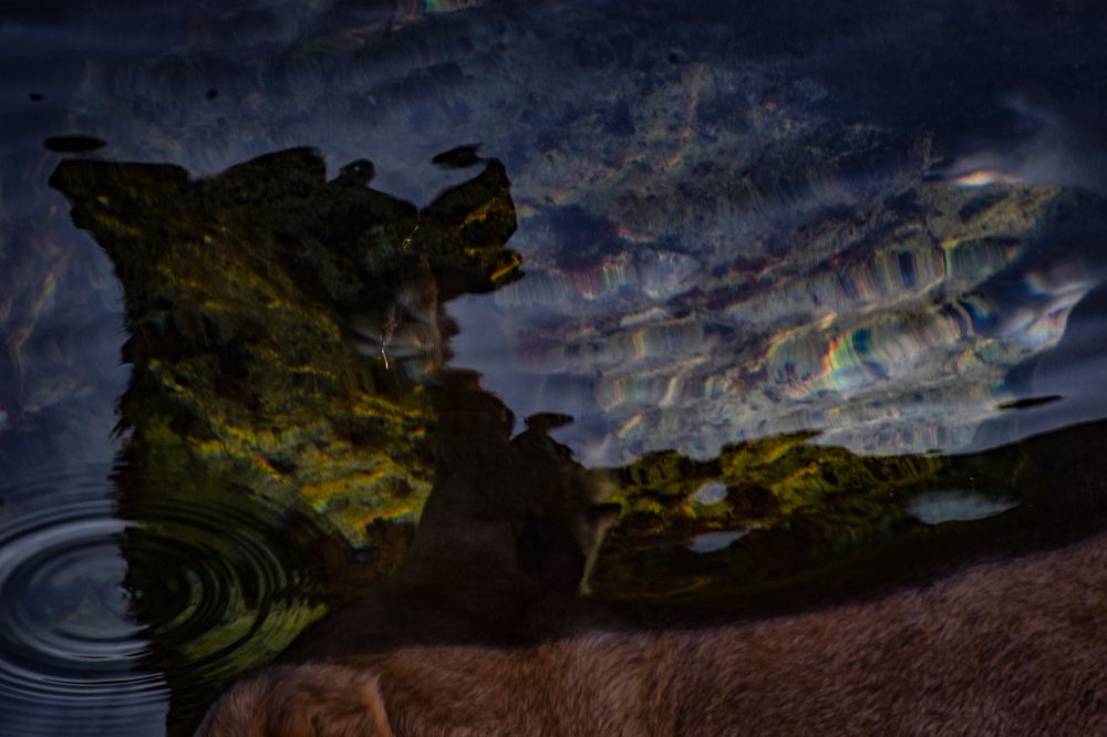 Photograph by Efi Laskari