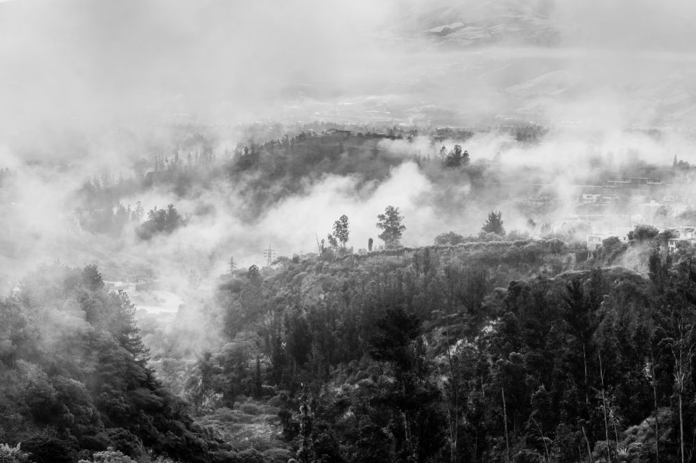 Photograph by Sandra Alvarez