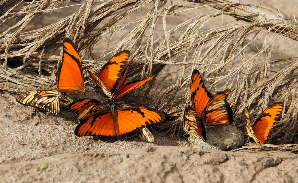 Photograph by Игорь Чупин