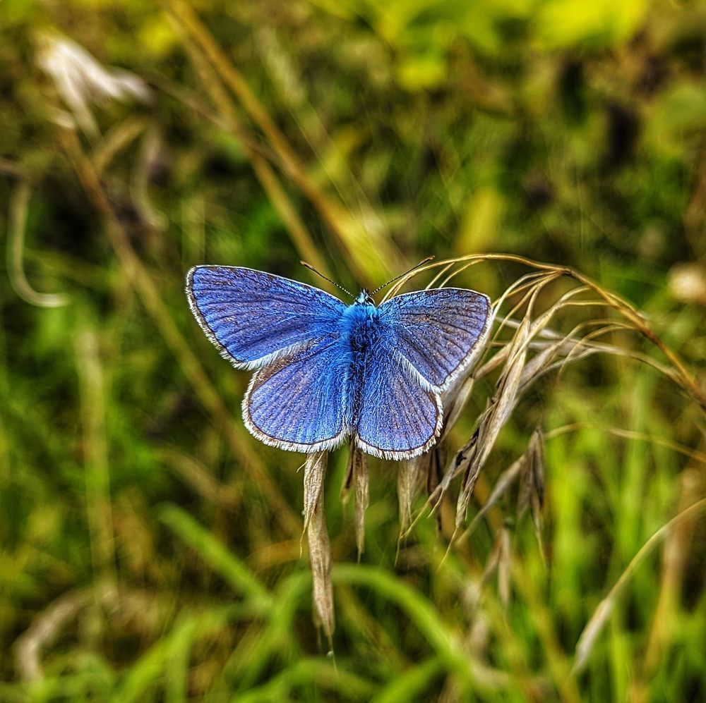 Фотография автора Александр Андреянов