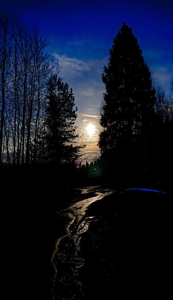 Photograph by Maxim Komissarov