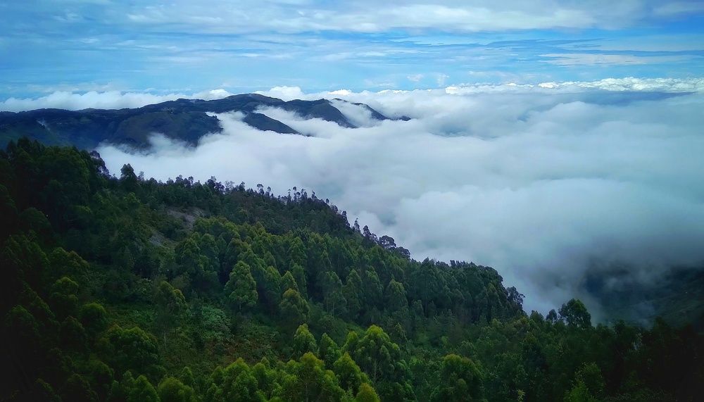 Photograph by SARAVANA MANICKAM