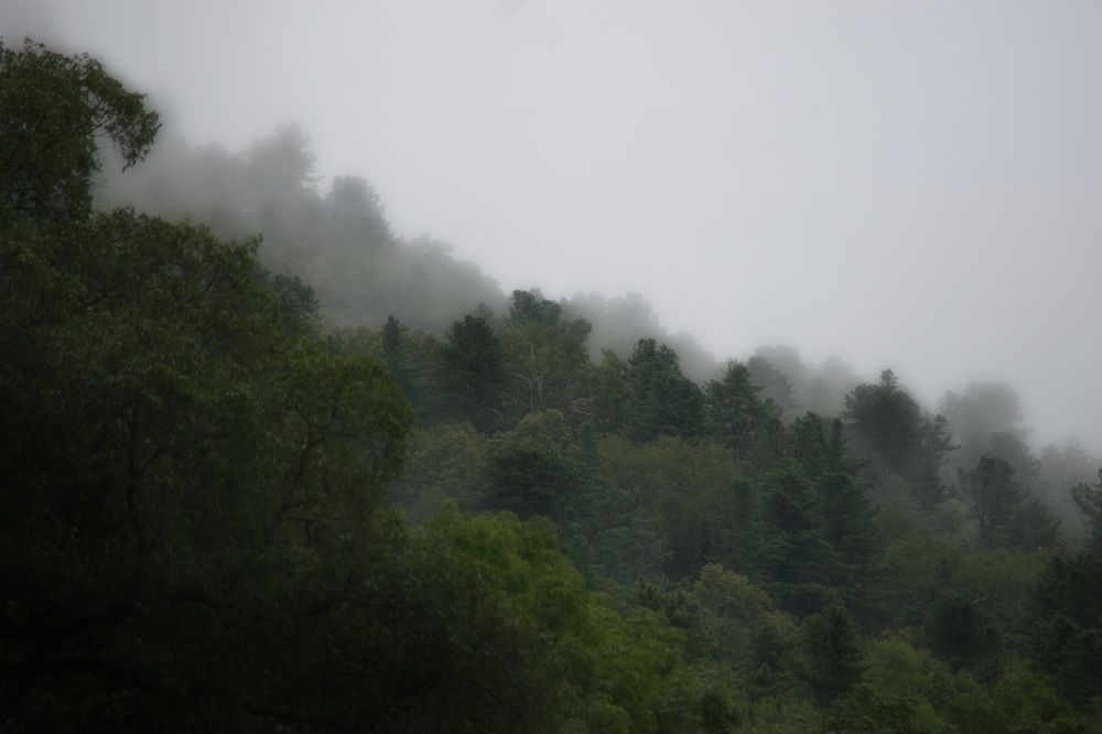 Photograph by Елена Ласун