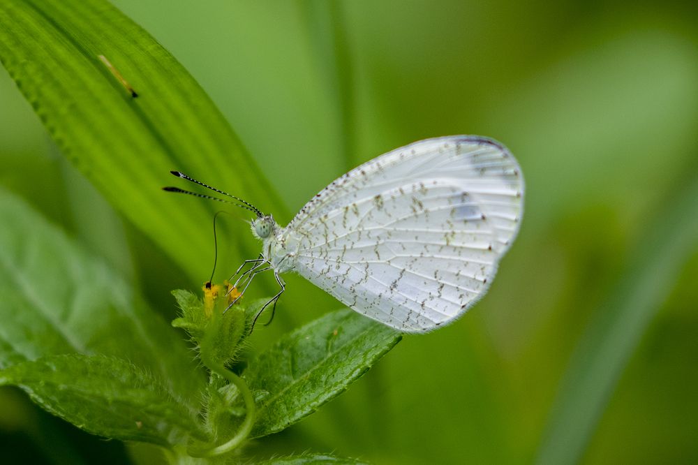 Фотография автора Rajeev Amaratunga