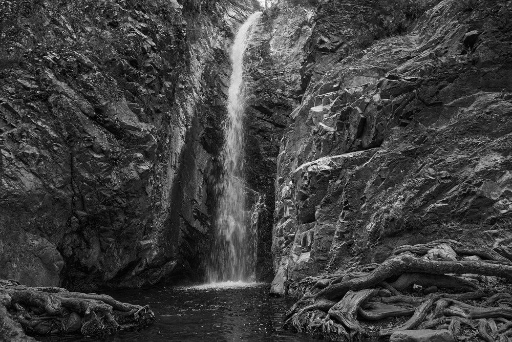 Фотография автора David Solodar