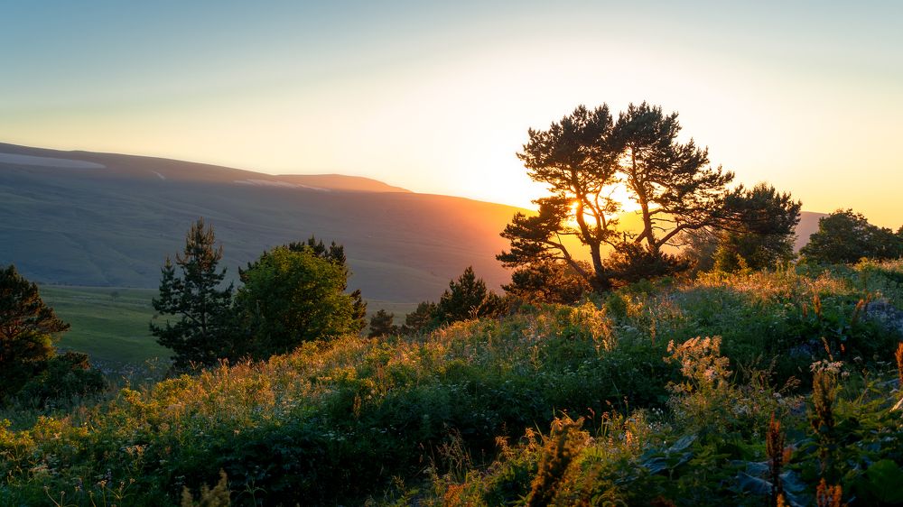 Фотография автора Вадим Коваленко