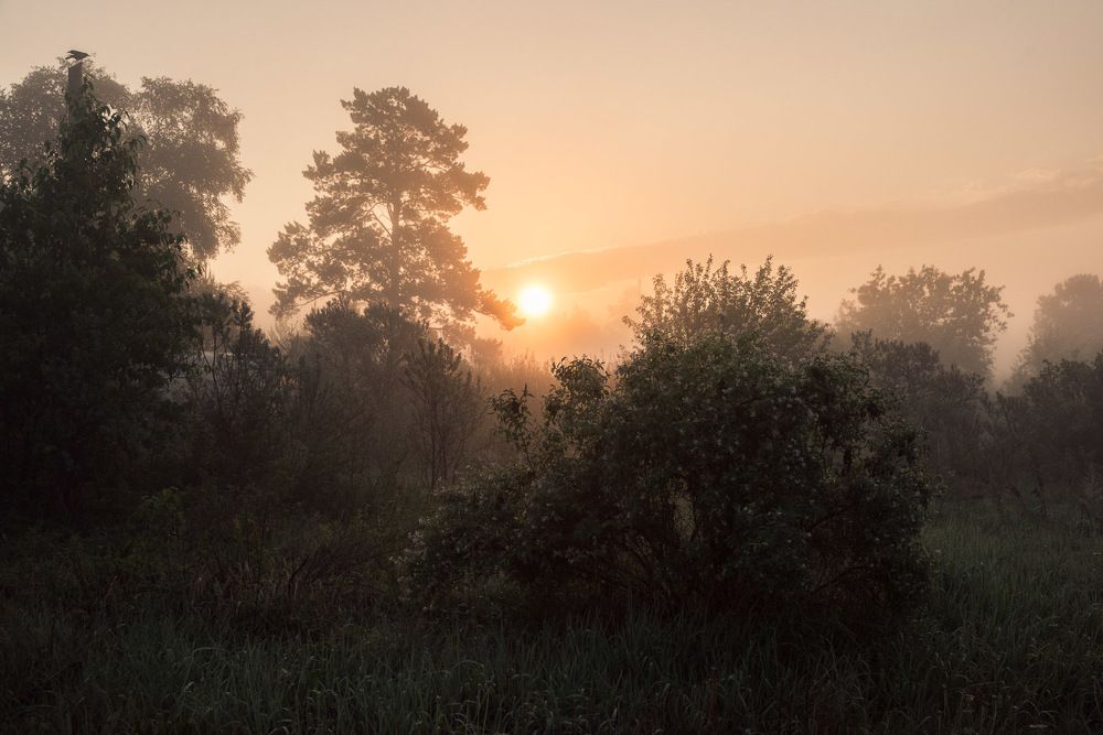 Photograph by Ирина Яук