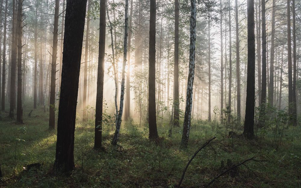 Photograph by Ирина Яук