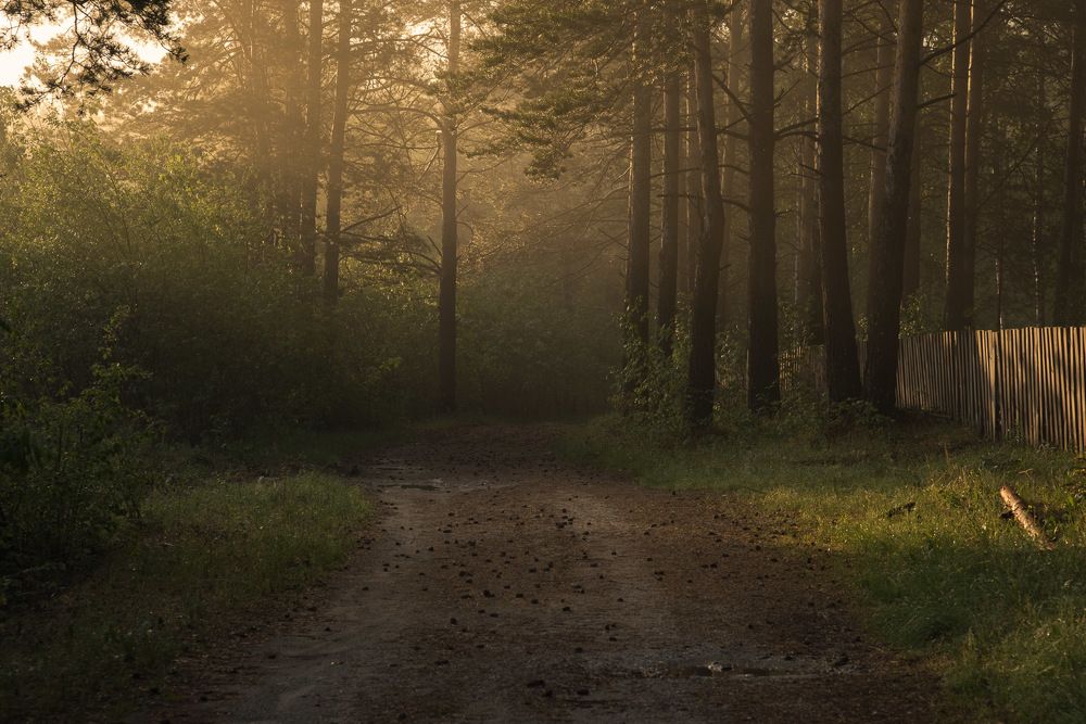 Photograph by Ирина Яук