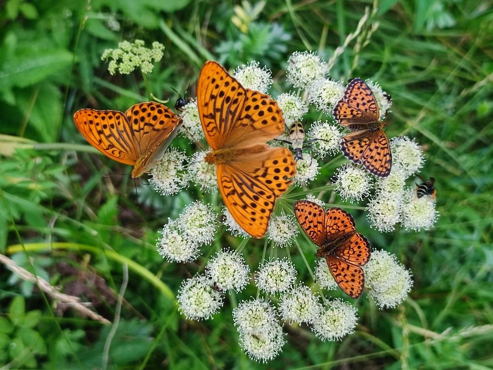 Photograph by Юлия Гинтер