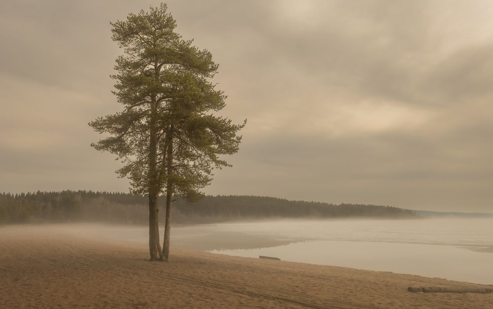 Photograph by Sergey Larionov