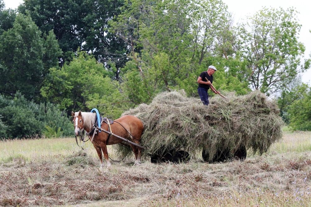 Редко такое увидишь!
