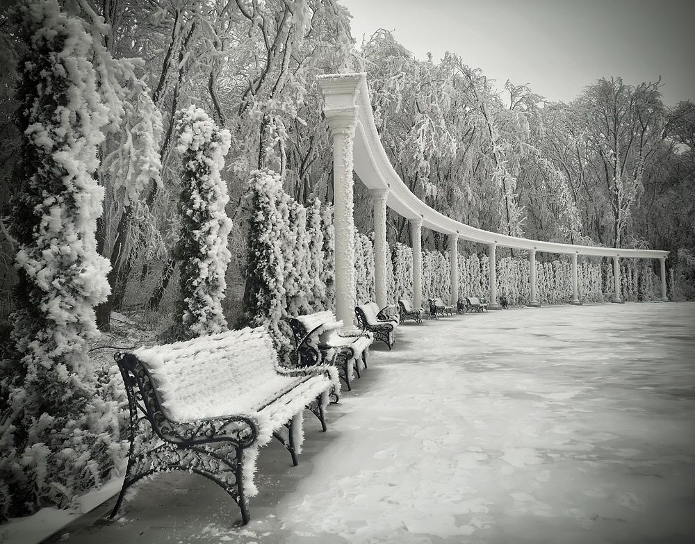 Photograph by Владимир Кривенко