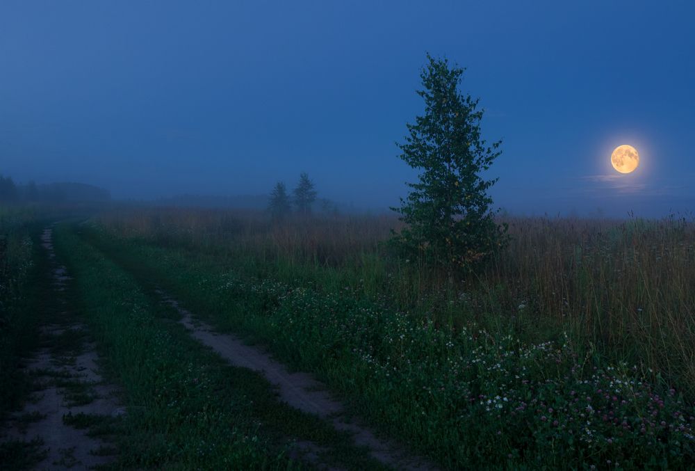 Photograph by Елена Потемина