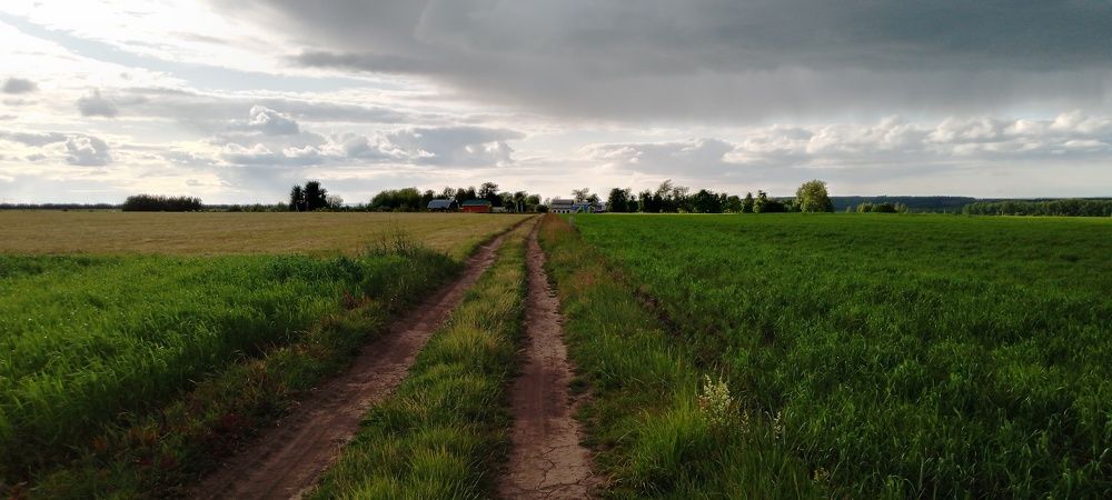 Photo #9300302