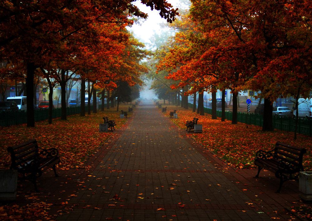 Photograph by Александр Зарх