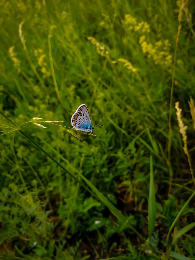 Photograph by Ксения