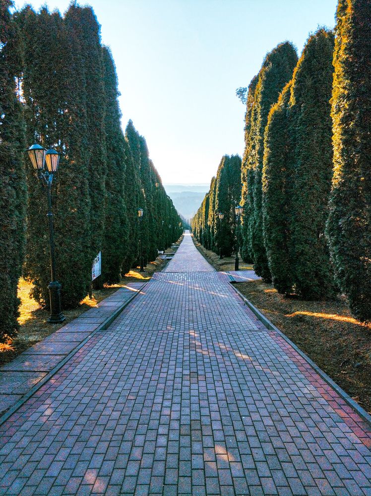 Photograph by Николай Ковальчук