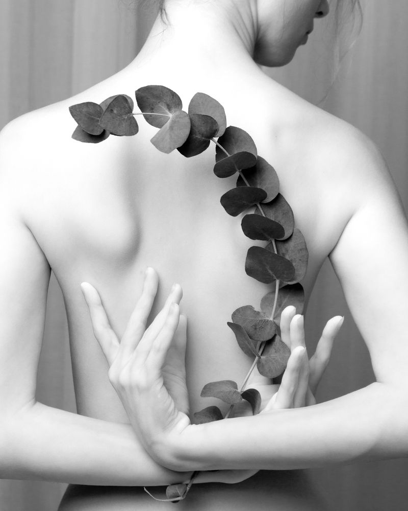 Фотография автора Устинов Владимир